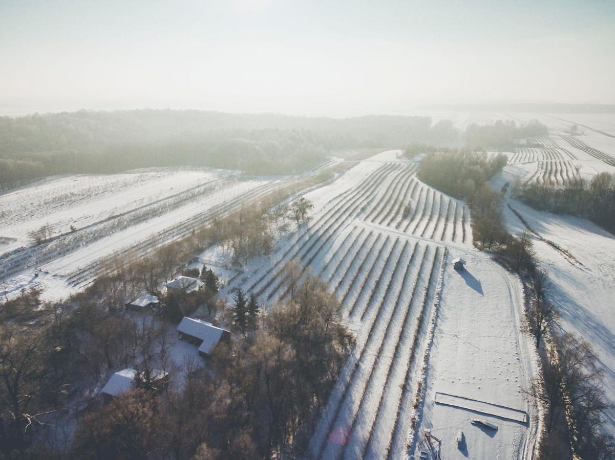 Chata Nad Wawozem Nałęczów المظهر الخارجي الصورة